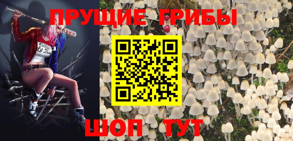 Галлюциногенные грибы ЛСД Ипатово