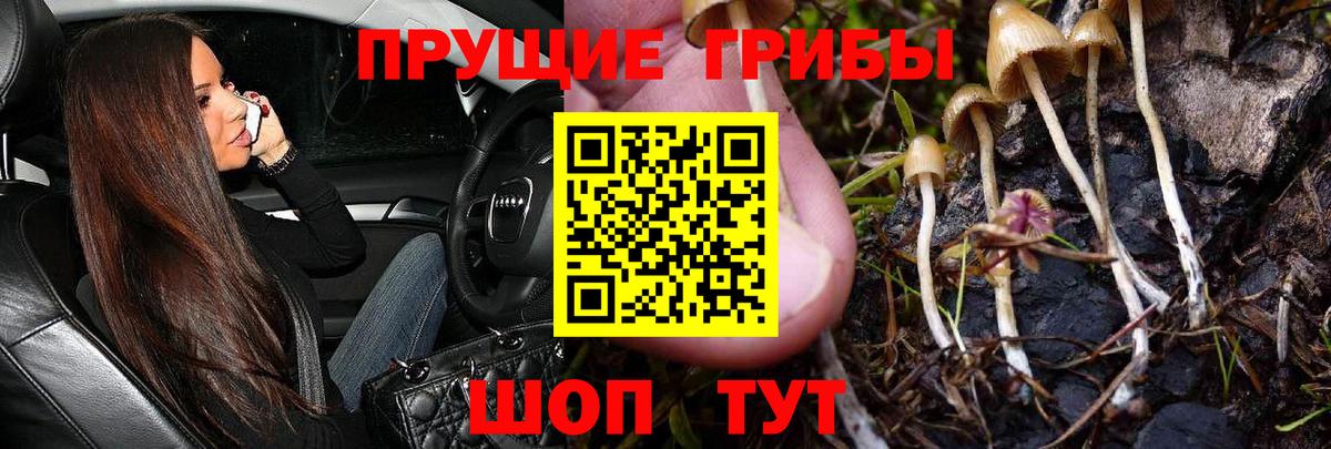 Ипатово  закладка  Вход с VPN  Галлюциногенные грибы мухоморы 